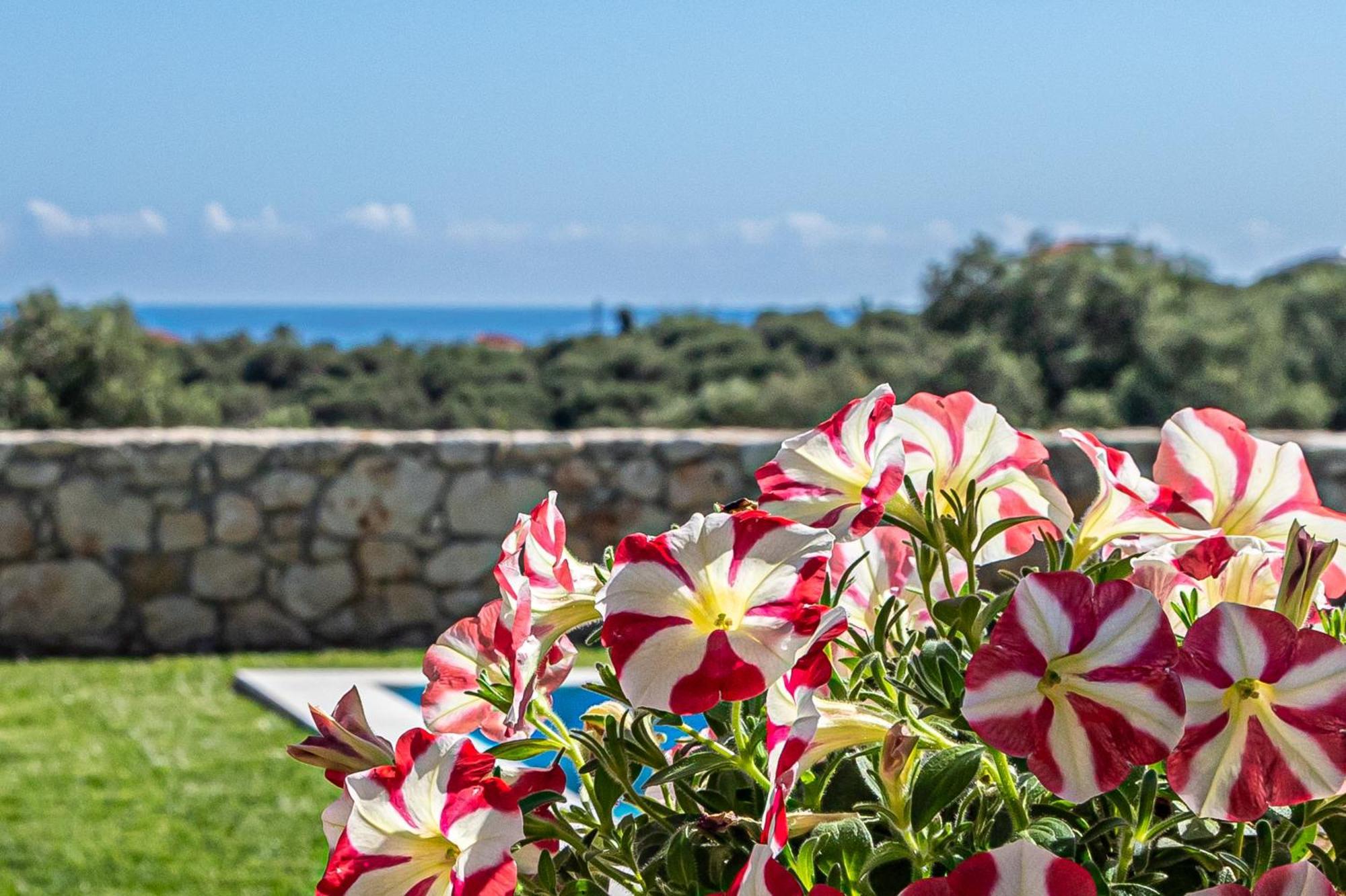 Villa Penelope Galatas  ภายนอก รูปภาพ